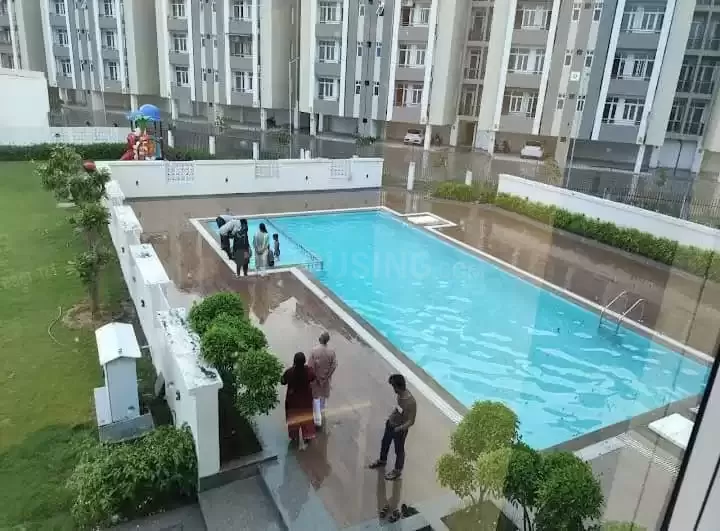 video image